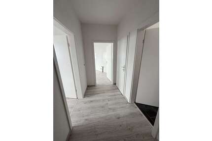 Wohnung zum Mieten in Hagen 520,00 € 75 m²