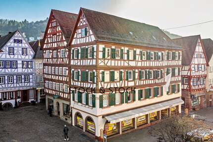 Haus zum Kaufen in Mosbach 1.200.000,00 € 343.93 m²