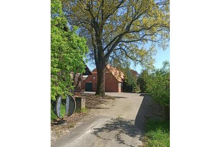 Ehemaliger Bauernhof mit Wiese, Alleinlage - Schnega