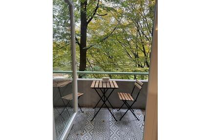 1Zi.-Whg. Ludwig-Vorstadt. Ab dem 1.5.26 für ein Jahr - München Maxvorstadt