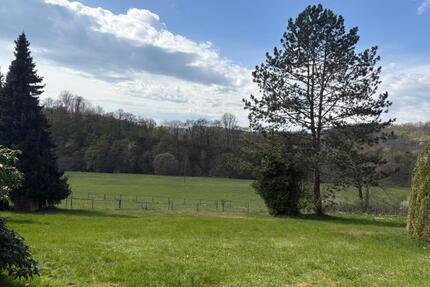 Freistehendes Einfamilienhaus mit großem Garten & Terasse (53577) - Neustadt (Wied) Hombach