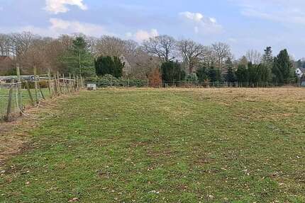 Grundstück in Regesbostel 600,00 € 4000 m²