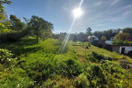 Haus zum Kaufen in Petersberg OT Nehlitz 149.000,00 € 135 m²