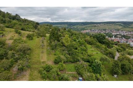 Zur Pacht: Obstwiese Freizeitgrundstück Stückle Gütle Garten - Remshalden