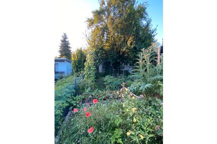 Kleingarten - 1.500,00&nbsp;EUR Kaltmiete, ca.&nbsp; 0,00&nbsp;m&sup2; in Halle (Saale) (PLZ: 06118) Frohe Zukunft