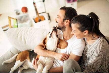 Ihr bezugsfertiges Einfamilienhaus - Starten Sie jetzt! - Grimma Zschoppach