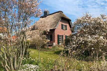 Reetdachhaus auf über 1600 qm in Norden