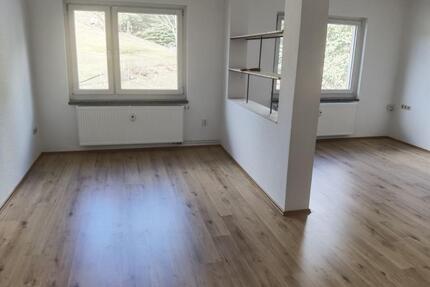 Frisch sanierte, schöne, große Wohnung im Grünen 142m², 5,50€m² - Brand-Erbisdorf