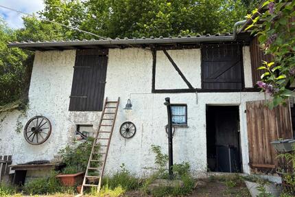 Haus mit Gemüsegarten und 2,4ha Wiesen für Naturverbundene - Bensheim