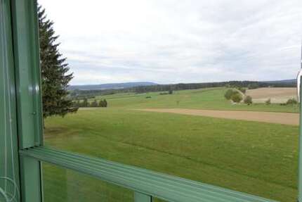 Wohnung zum Mieten in Löffingen Dittishausen 395,00 € 37 m² - Löffingen / Dittishausen