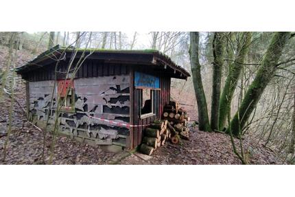 Waldgrundstück Wochenendgrundstück in Berschweiler - Marpingen - Heusweiler