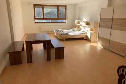 Großes, möbliertes 1-Zi.-Apartment mit separater Küche und Bad - Dasing