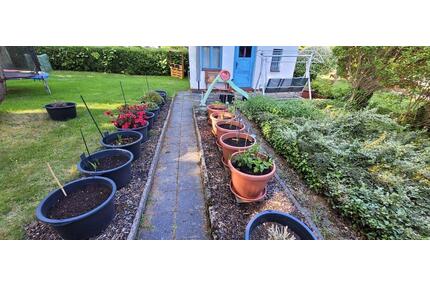 Kleingarten - 700,00&nbsp;EUR Kaltmiete, ca.&nbsp; 0,00&nbsp;m&sup2; in Zwickau (PLZ: 08062) Neuplanitz