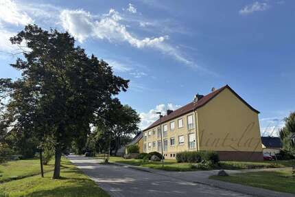 Wohnung zum Kaufen in Möser 74.000,00 € 60 m²