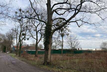 Haus zum Kaufen in Wriezen 299.500,00 € 92 m²
