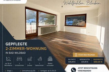 Ruhige Renovierte 2 Zimmer Wohnung - Bad Wildbad