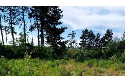 Ein Grundstück, zwei Möglichkeiten - ideal für Ihr Doppelhaus-Projekt - Naunhof