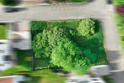 Sonniges Grundstück in Mainburg - Ruhige und begehrte Lage für Ihr Traumprojekt!