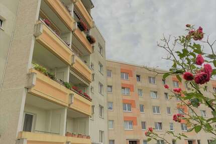 Wohnung zum Mieten in Wurzen 345,00 € 62.5 m²