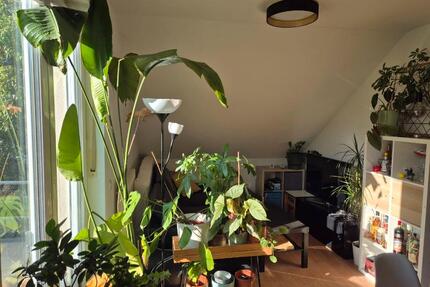 Helle 2-Zimmer-Wohnung mit Balkon in Universitäts- und OTH-Nähe - Regensburg Ganghofersiedlung