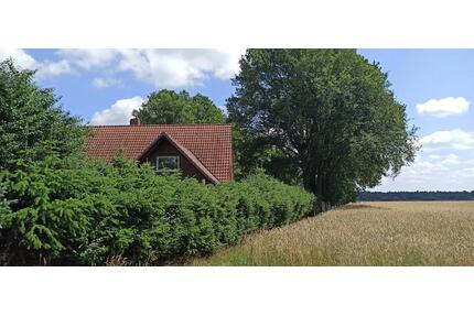 Gut erhaltener Resthof 2 ha, von privat, Pferdehaltung - Wagenfeld