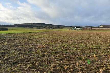 Grundstück zu verkaufen in Grafschaft-Esch 138.800,00 € 883 m²