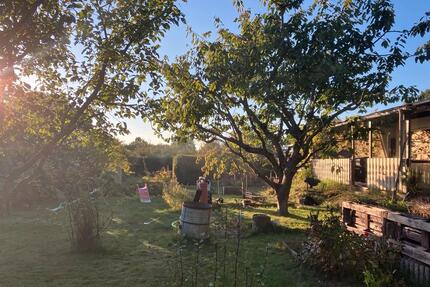 Großer versteckter Kleingarten in Brinckmansdorf mit viel Obst - Rostock