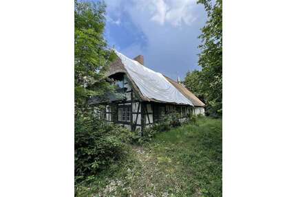 Haus zum Kaufen in Fintel 248.000,00 € 400 m²