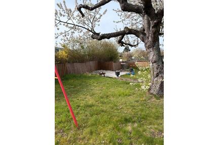 Traum Schrebergarten in Hildesheim BockfeldGodehardikamp