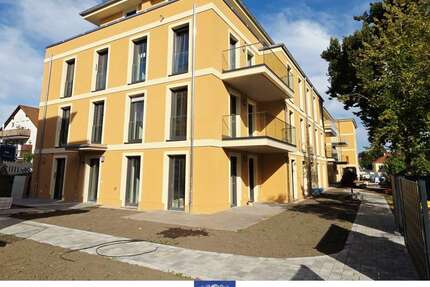 Wohnung zum Mieten in Dresden 550,00 € 34.3 m²