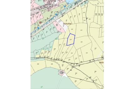 38678 , Altenau , Wintersport, Mühlenbergloipe, Grundstück, Grünland, Mühlenberg, Miteigentum - Clausthal-Zellerfeld
