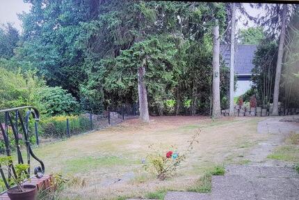 Einfamilienhaus - 1.620,00&nbsp;EUR Kaltmiete, ca.&nbsp; 197,00&nbsp;m&sup2; in Bruchhausen-Vilsen (PLZ: 27305)