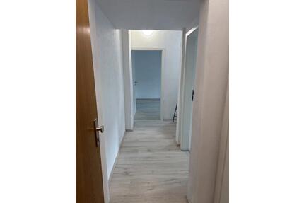 Mietwohnung, 4 Zimmer - 700,00&nbsp;EUR Kaltmiete, ca.&nbsp; 67,00&nbsp;m&sup2; in Iserlohn (PLZ: 58644) Grüne