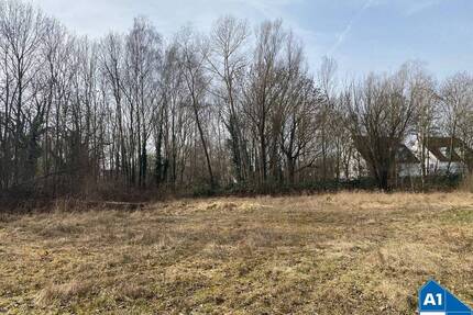 Großzügiges Grundstück mit kleiner Gartenlaube in Seeben - Halle (Saale)