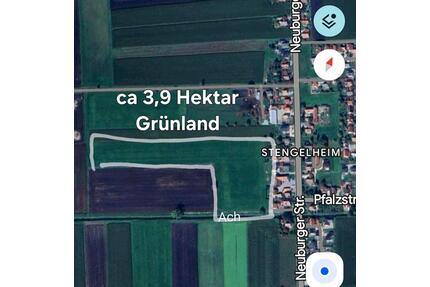 Donaumoos: Ausgleichsfläche, landw. Nutzfläche, Grünland, Hobby - München Pasing-Obermenzing