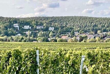Ohne Makler-Freistehendes EFH+Garten+Do.Garage +top Lage, an der Sonnenseite des Lebens - Weisenheim am Berg