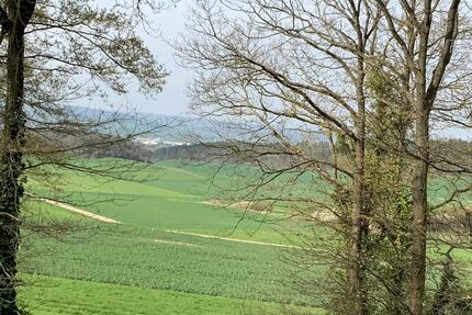 Von Privat ! Einfamilienhaus, einmaliges Objekt - Euskirchen Dom-Esch
