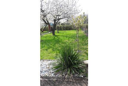 SchrebegartenGarten - 3.500,00&nbsp;EUR Kaltmiete, ca.&nbsp; 0,00&nbsp;m&sup2; in Zarrentin am Schaalsee (PLZ: 19246)