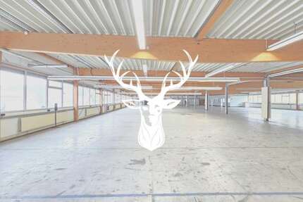 Halle in Wehingen 10.000,00 € 3133 m²