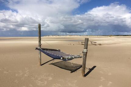 Ferienwohnung auf Amrum, Hunde willkommen ! - Flensburg