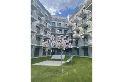 Wohnung zum Mieten in Magdeburg 450,00 € 25.19 m²