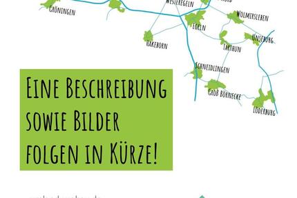 Ruhige 3-Zimmer-Wohnung in Westeregeln | nur ca. 20 Minuten nach Magdeburg - Börde-Hakel