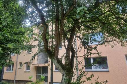 Wohnung zum Mieten in Düsseldorf 900,00 € 78.1 m²