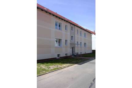 Wohnung zum Mieten in Holle 470,00 € 67.07 m²