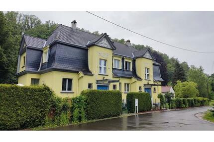 Charmante Doppelhaushälfte mit 2 Wohneinheiten in ruhiger Lage - Roßwein