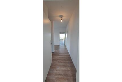 Wachtberg-Berkum: sanierte, helle 1-Zimmerwohnung, K, D, B, B