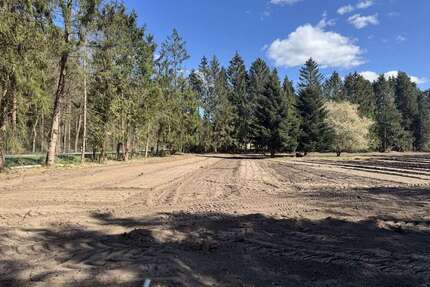 Grundstück zu verkaufen in Hartenholm 221.000,00 € 1694 m²