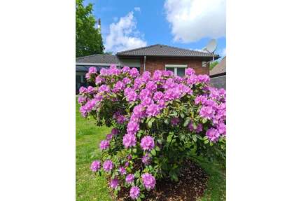 Haus zum Kaufen in Hemmingstedt 359.000,00 € 102 m²