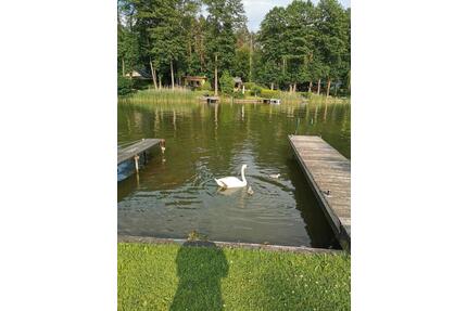 Ferienhaus am See 610€Woche - 610,00&nbsp;EUR Kaltmiete, in Neuruppin (PLZ: 16816)