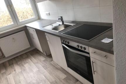Vermiete 2 Raum-Wohnung in Lassahn - Zarrentin am Schaalsee